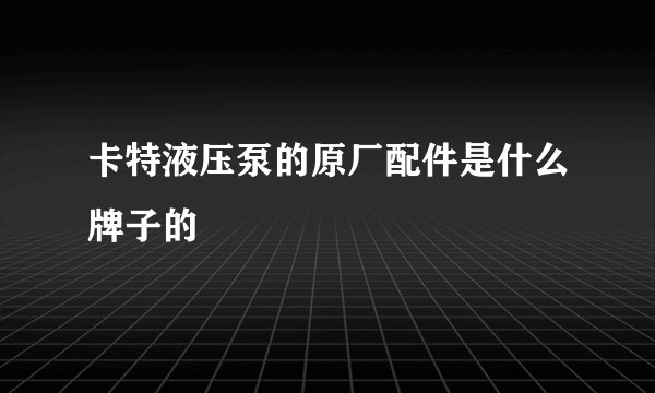 卡特液压泵的原厂配件是什么牌子的