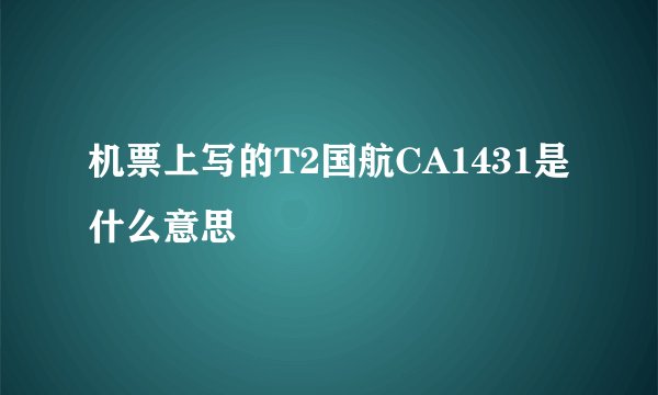 机票上写的T2国航CA1431是什么意思