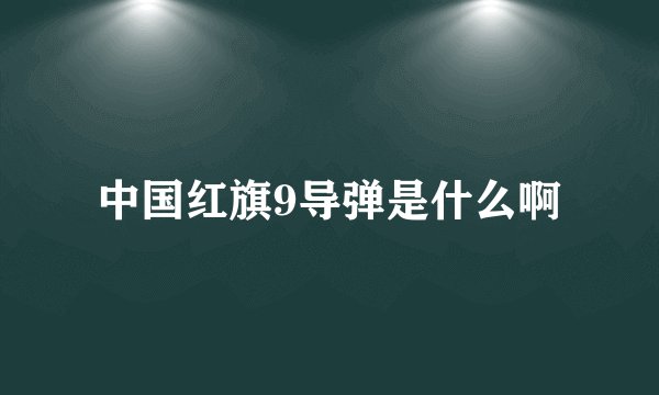 中国红旗9导弹是什么啊