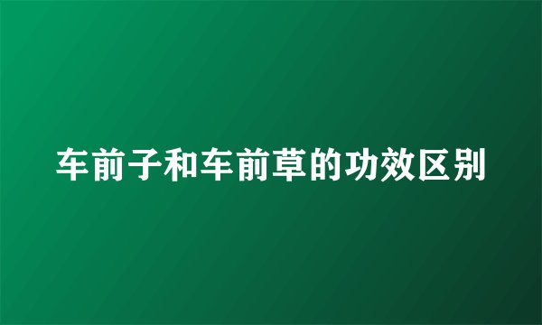 车前子和车前草的功效区别