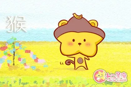 婚配属相