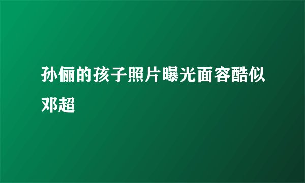 孙俪的孩子照片曝光面容酷似邓超