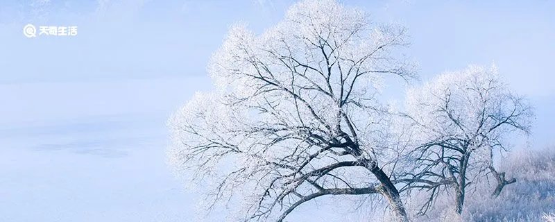 雪的句子短句唯美