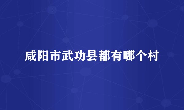 咸阳市武功县都有哪个村
