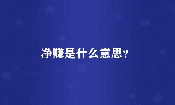 净赚是什么意思？
