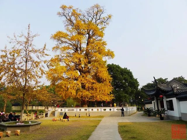 谁能介绍一下常熟梅李的聚沙塔?