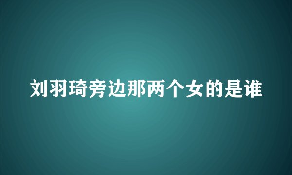 刘羽琦旁边那两个女的是谁
