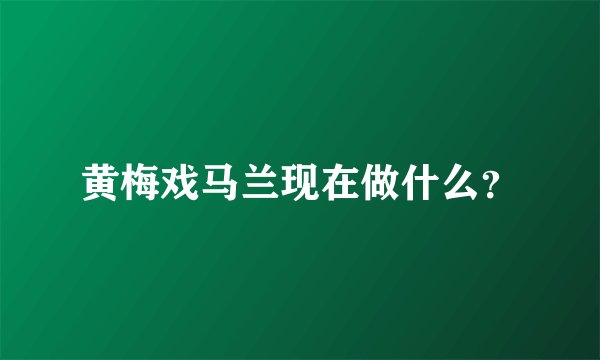 黄梅戏马兰现在做什么？