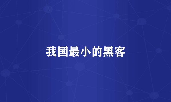 我国最小的黑客