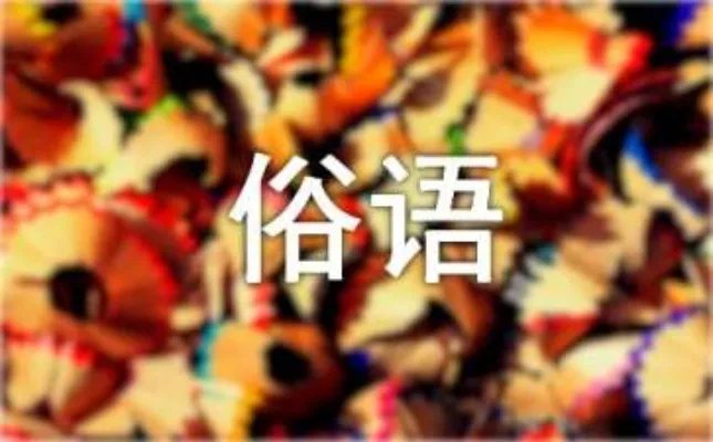桥的俗语