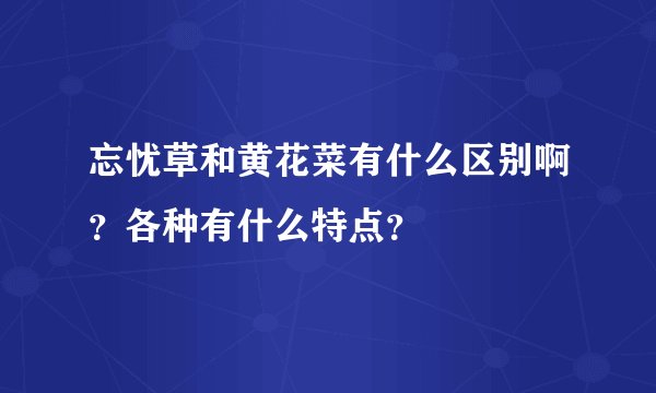 忘忧草和黄花菜有什么区别啊？各种有什么特点？