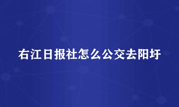 右江日报社怎么公交去阳圩