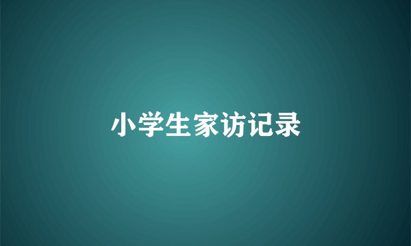 小学生家访记录