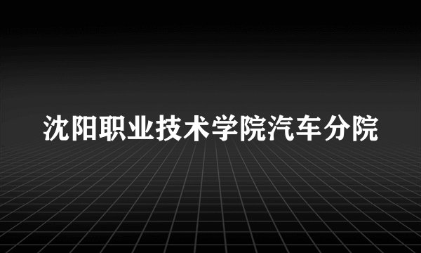 沈阳职业技术学院汽车分院
