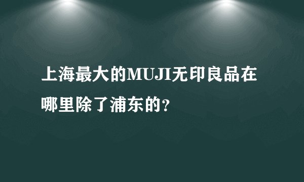上海最大的MUJI无印良品在哪里除了浦东的？