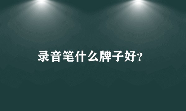 录音笔什么牌子好？