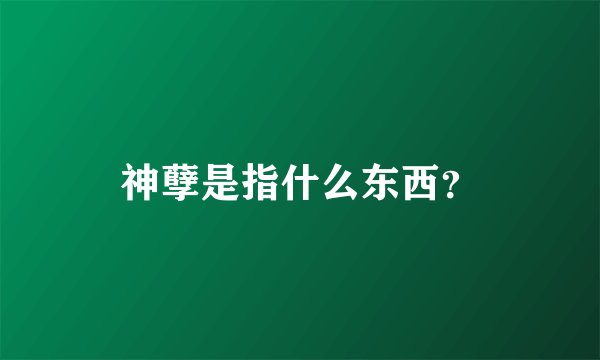 神孽是指什么东西？