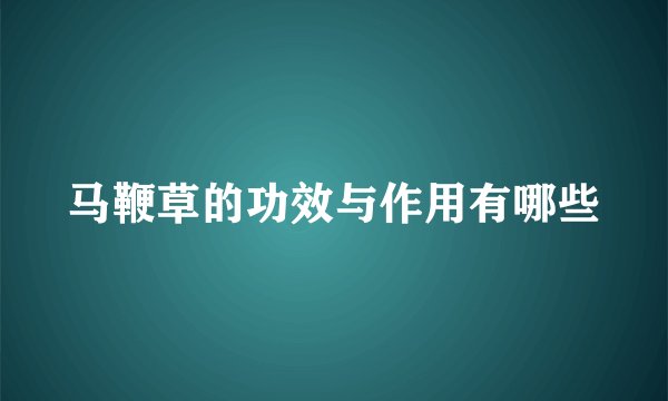 马鞭草的功效与作用有哪些