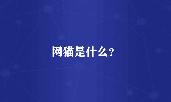 网猫是什么？