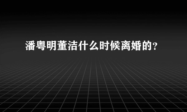 潘粤明董洁什么时候离婚的?