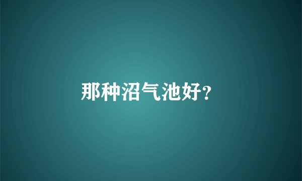 那种沼气池好？