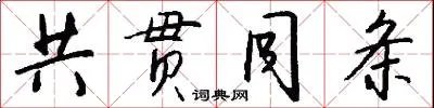 共贯同条