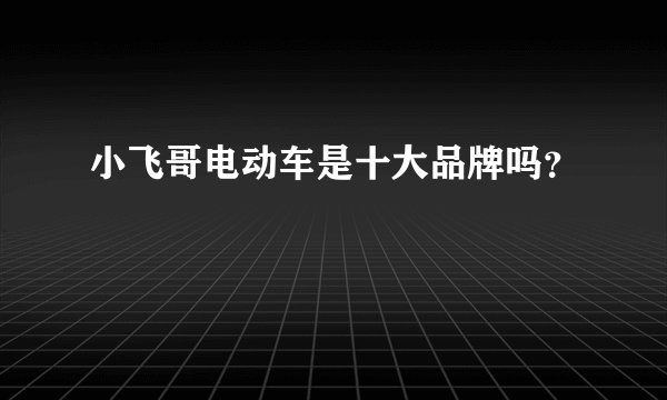 小飞哥电动车是十大品牌吗？