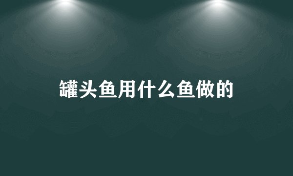 罐头鱼用什么鱼做的