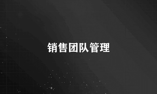 销售团队管理