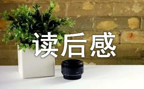 《赢》读后感