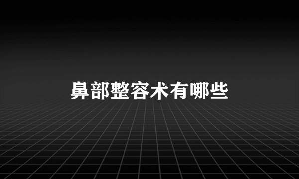 鼻部整容术有哪些