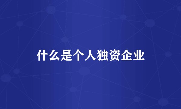 什么是个人独资企业