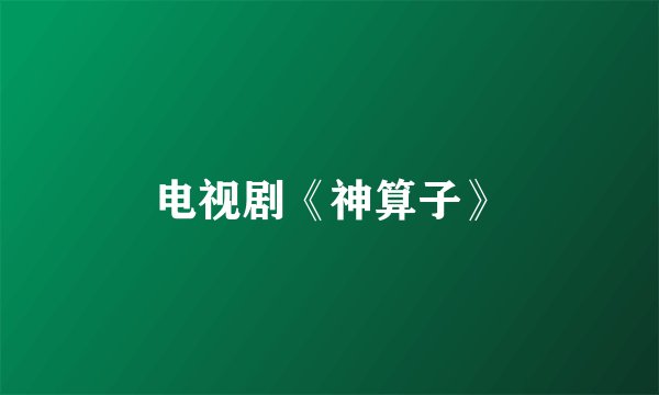 电视剧《神算子》