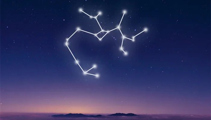12星座谁最有钱前五名