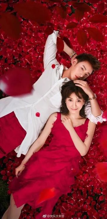 无尾熊夫妇为什么这么有CP感？