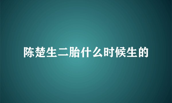 陈楚生二胎什么时候生的