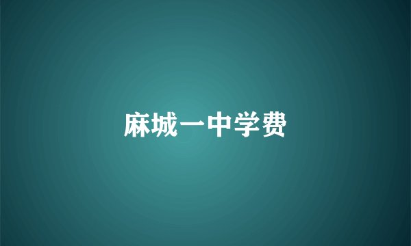 麻城一中学费