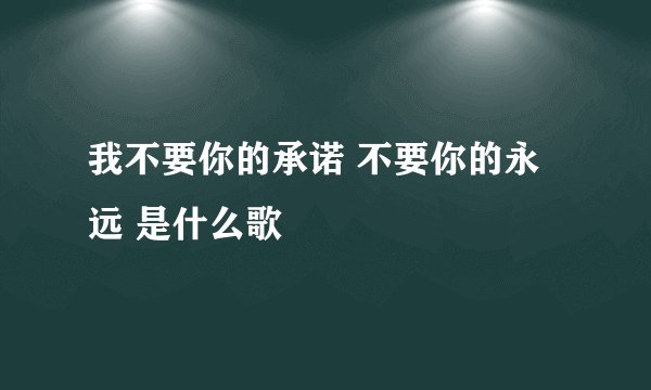 我不要你的承诺 不要你的永远 是什么歌