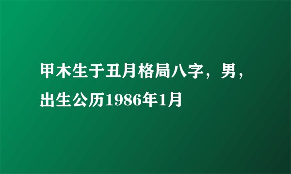 甲木生于丑月格局八字，男，出生公历1986年1月