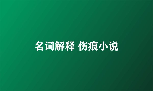 名词解释 伤痕小说