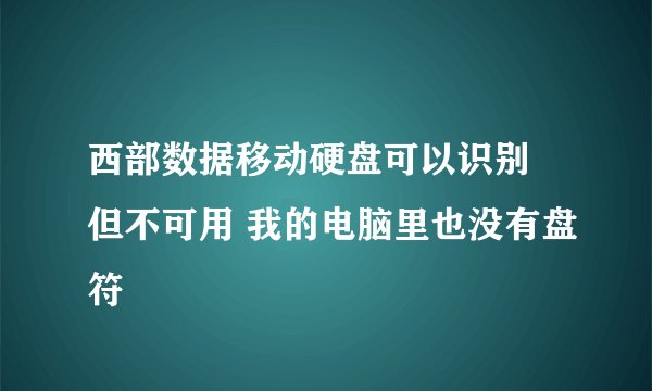 西部数据移动硬盘可以识别 但不可用 我的电脑里也没有盘符