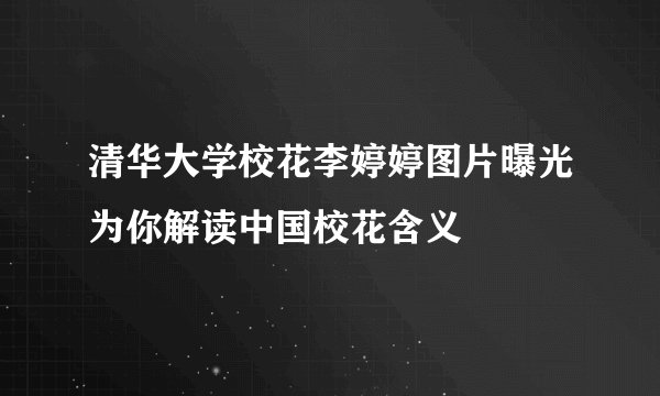 清华大学校花李婷婷图片曝光为你解读中国校花含义