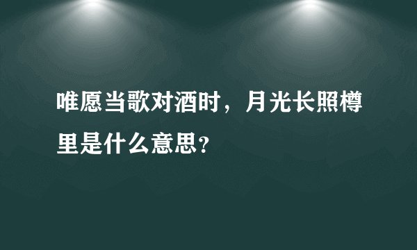 唯愿当歌对酒时，月光长照樽里是什么意思？
