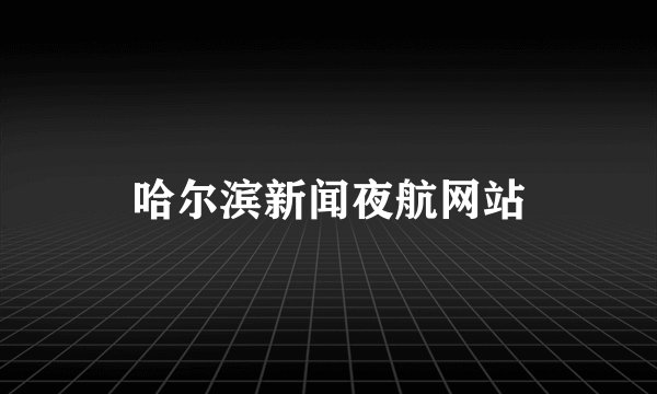 哈尔滨新闻夜航网站