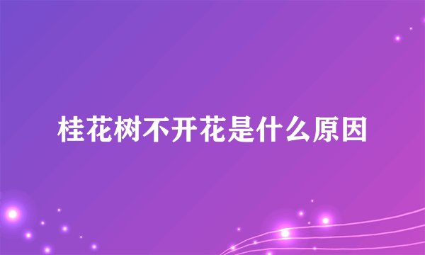 桂花树不开花是什么原因