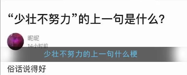少壮不努力的上一句什么梗