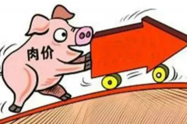 目前,我国生猪肉的行情如何?