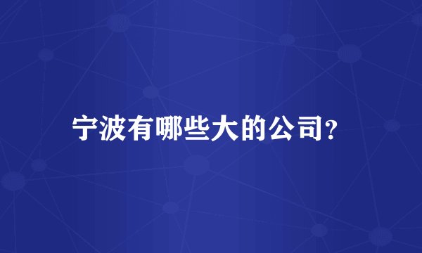 宁波有哪些大的公司？