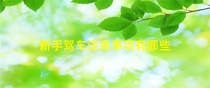 新手驾车注意事项有哪些