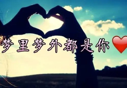 这最后一次的分离发了疯的想你